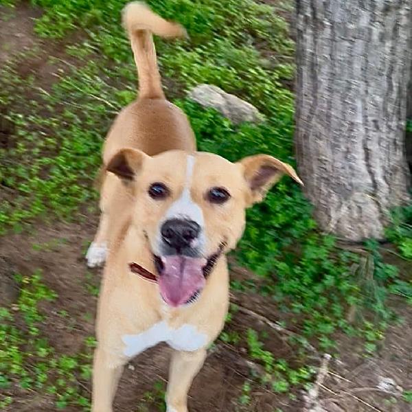 🤍💚 SPILLO CERCA CASA 💚🤍 Foto 3